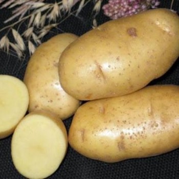 Картофель "Импала" / 2 кг.