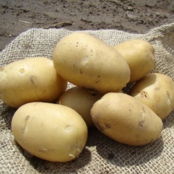 Картофель "Ладожский"/ 2 кг.